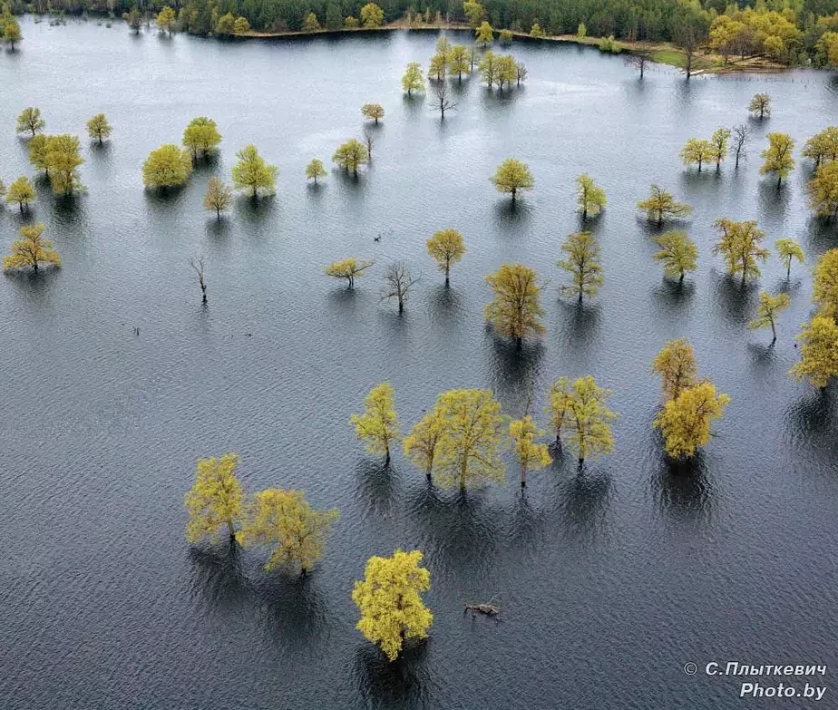 Беларуская Прыпяць. Фота Сяргея Плыткевіча.