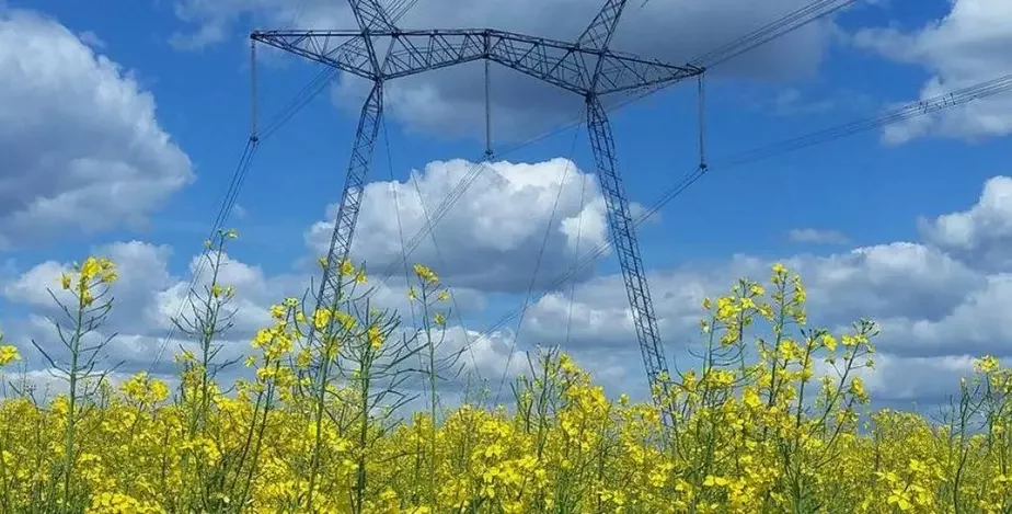 Фота Дашы Радзькоўскай, www.bbc.com.