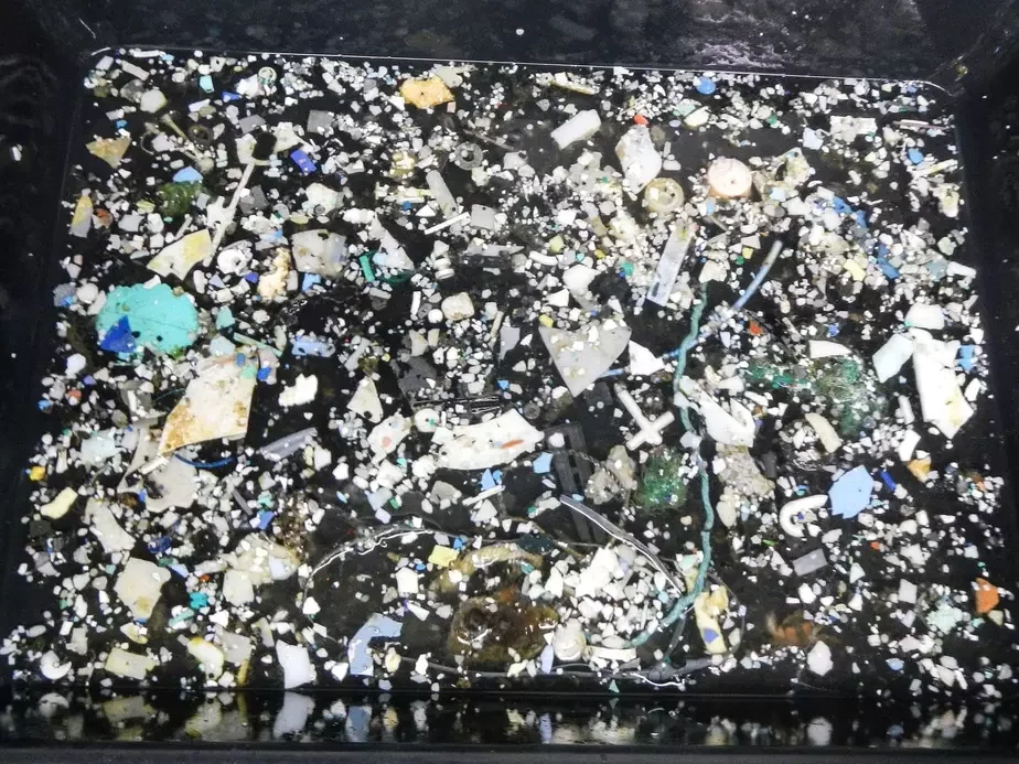 Часть мусора из Тихого океана. Фото это и ниже: Ocean Cleanup Foundatio