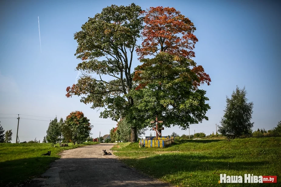 Фота Сяргея Гудзіліна