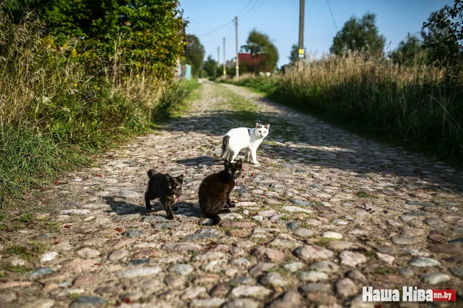 Фото Сергея Гудилина