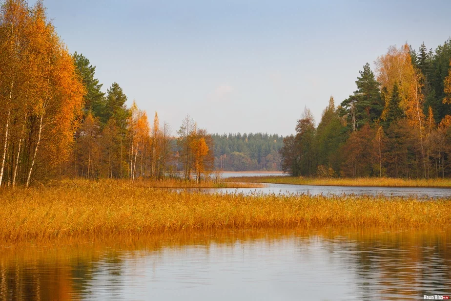 Фото Виктора Малыщица