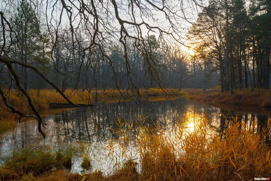 Фота Віктара Малышчыца