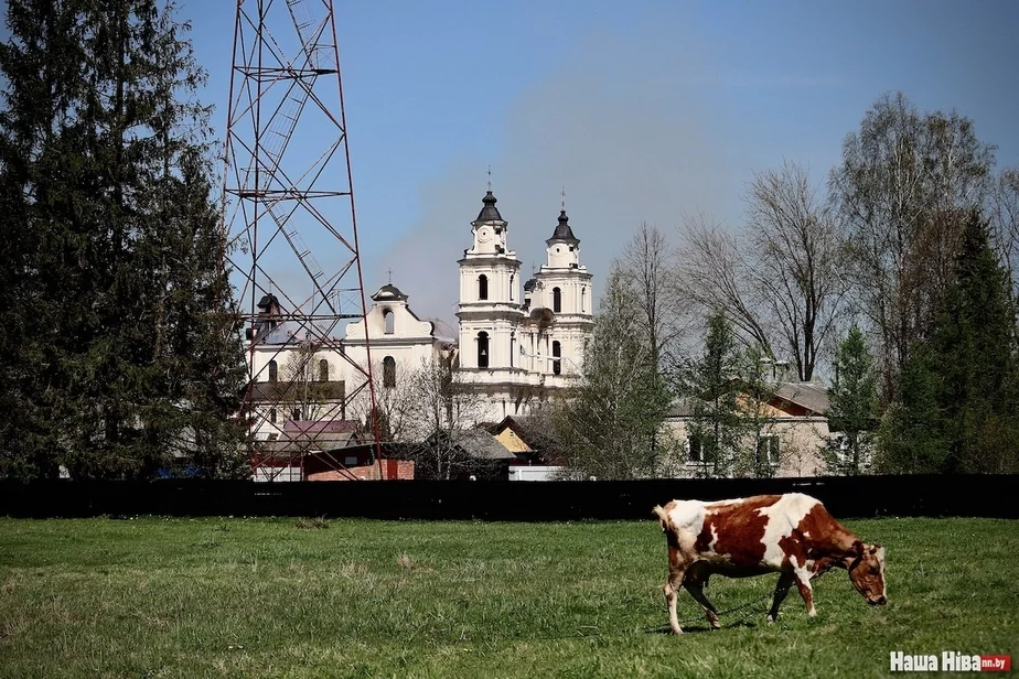 Fota Nadziei Bužan