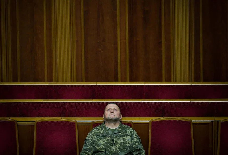 Главнокомандующий украинской армией генерал Валерий Залужный. Фото: Andrii Nesterenko / Facebook 
