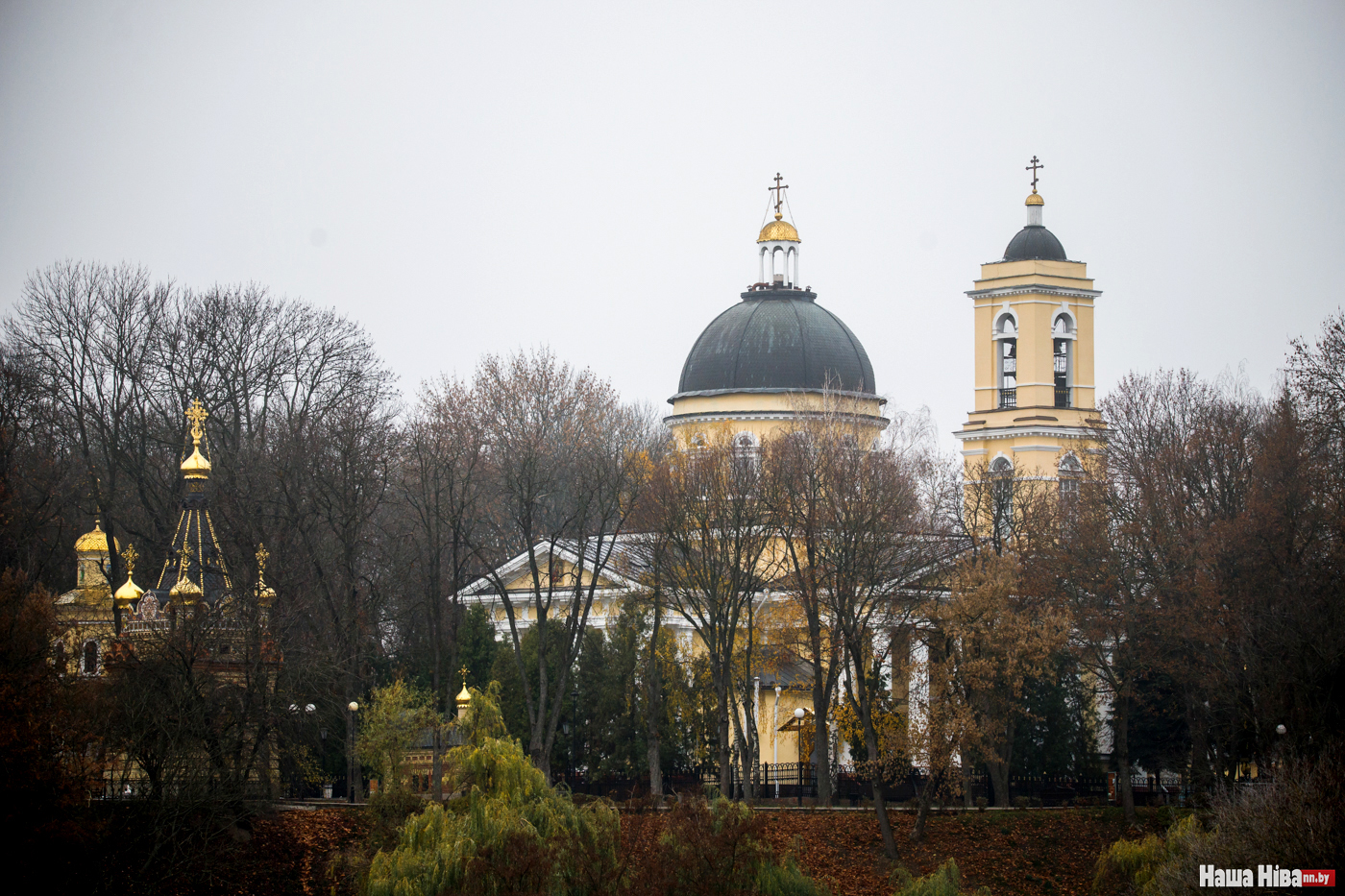 25 адресов Гомеля — города, в котором есть всё