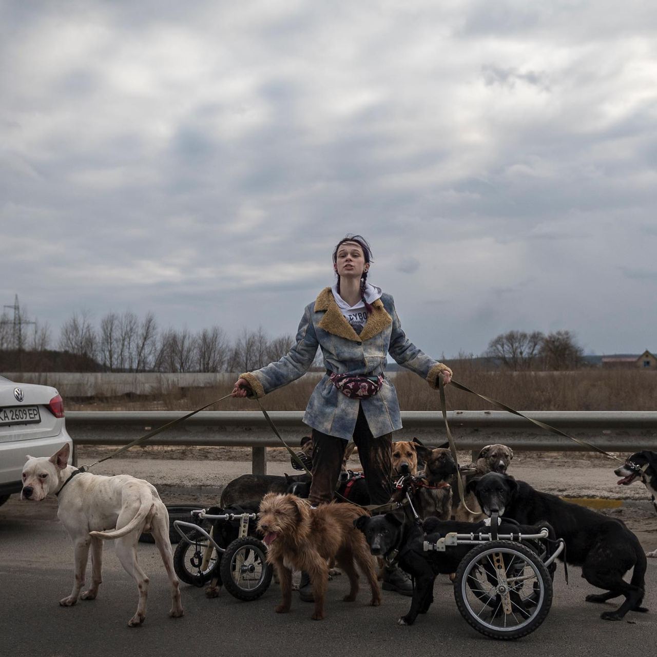 Ужасающая и вдохновляющая история девушки с собаками-инвалидами с  известного фото