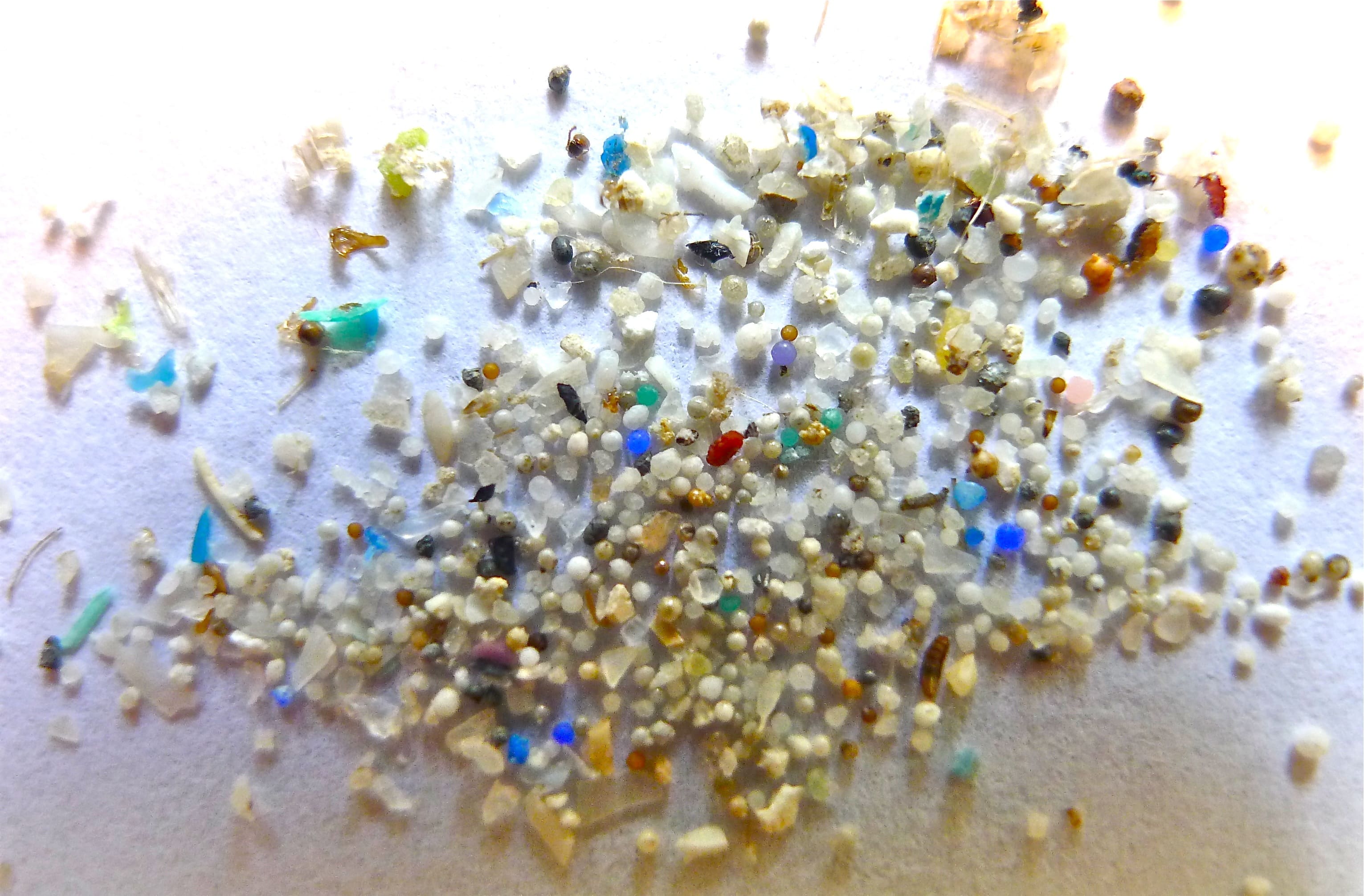Микро стал. Микропластик в море. Микропластик в морской среде. Микрочастицы пластика. Микропластик в воздухе.