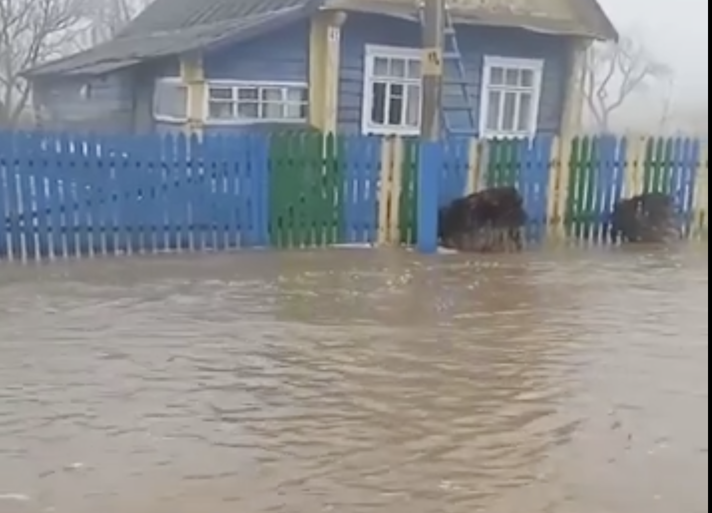 В Несвижском районе сельская улица превратилась в реку ВИДЕО