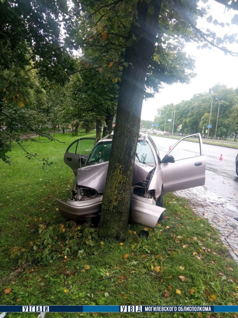 В Могилеве машина врезалась в дерево — водитель погиб