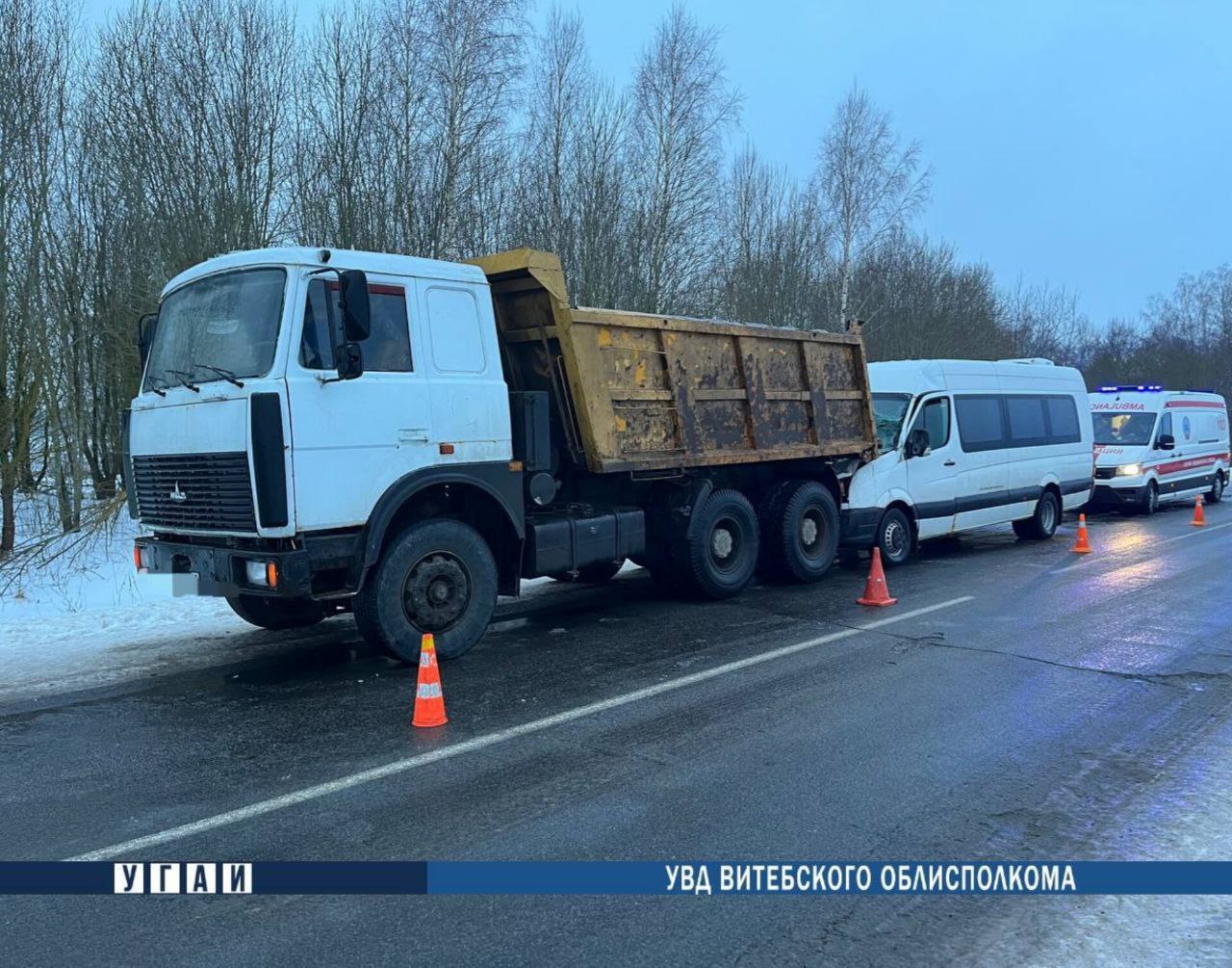 В ДТП с микроавтобусом под Витебском травмы получили семеро пассажиров