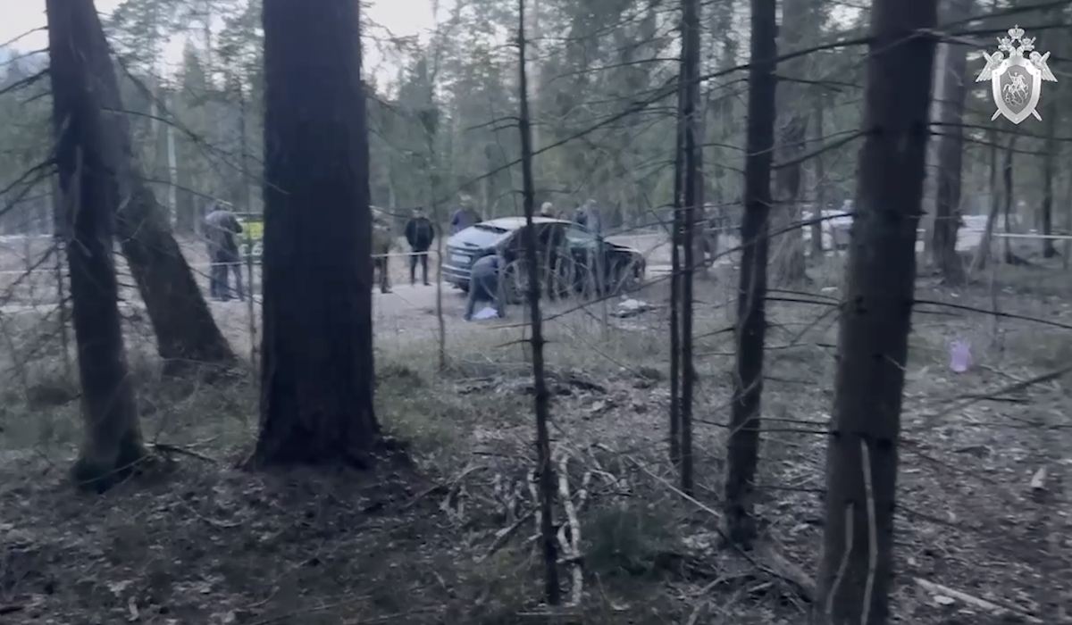 В Подмосковье убили полицейского, его напарник в реанимации