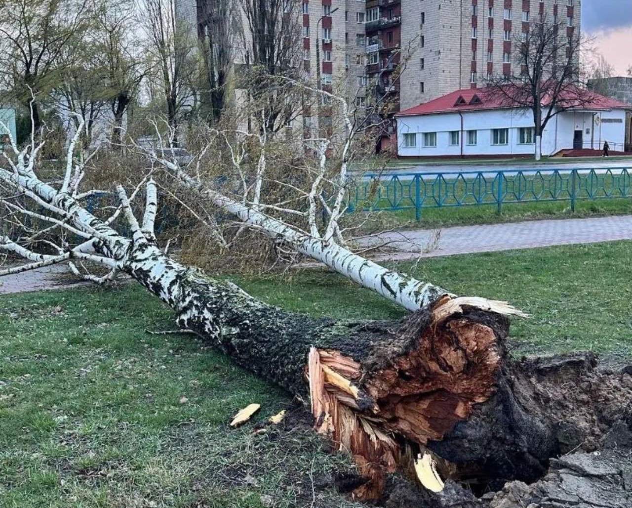 Юг Беларуси накрыла буря, особенно страдает Гомельщина